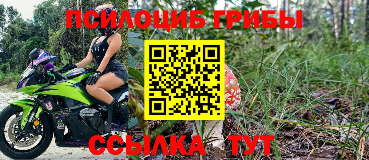 Галлюциногенные грибы мухоморы Каспийск