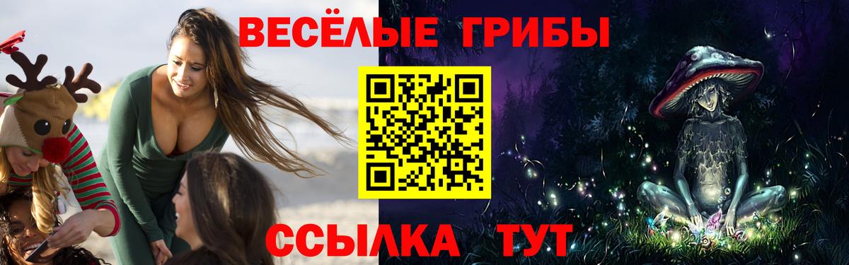 Каспийск  Псилоцибиновые грибы мухоморы  Вход с VPN 